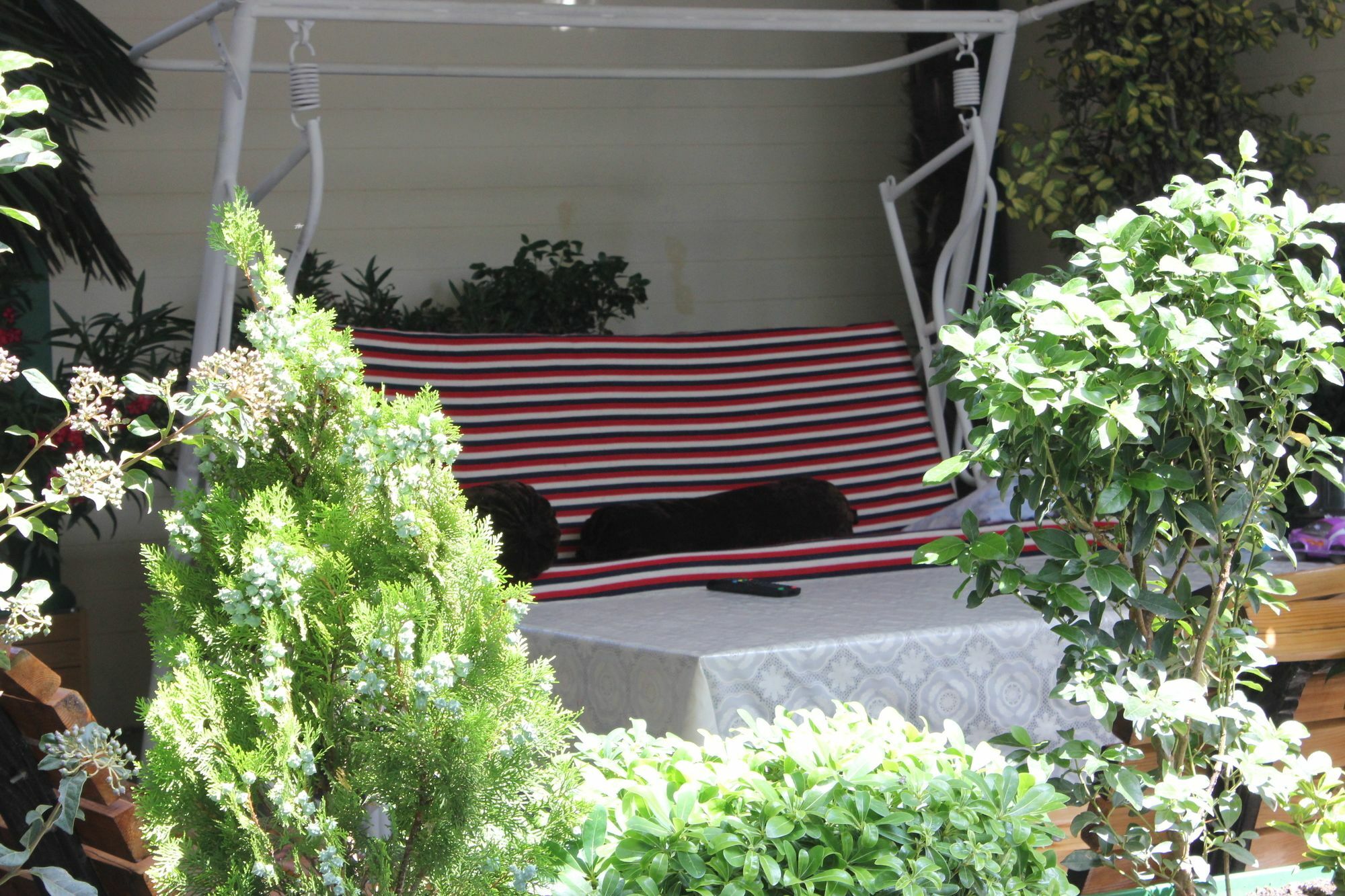 Vedzisi Garden Hotel Τυφλίδα Εξωτερικό φωτογραφία
